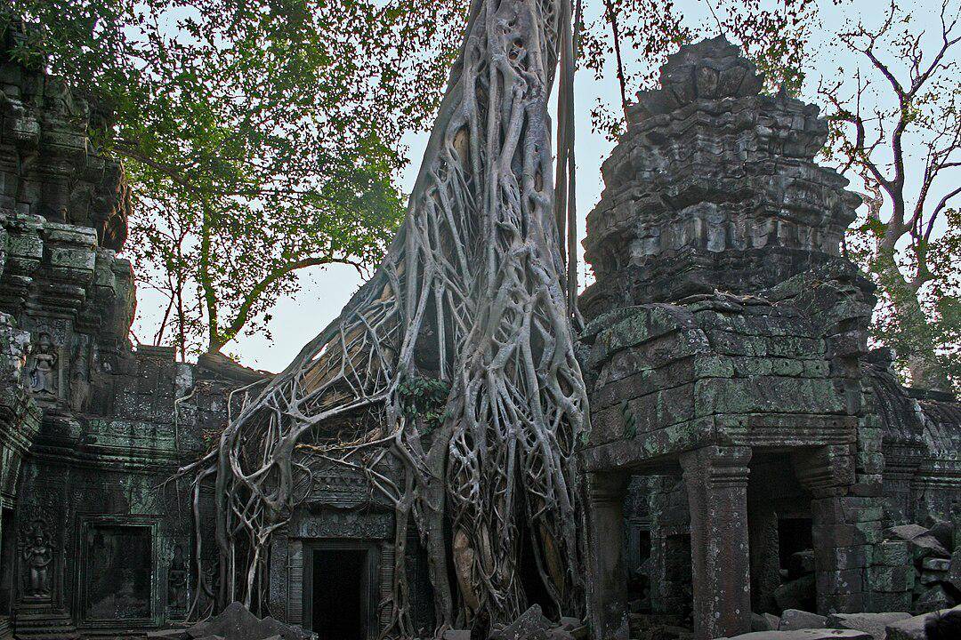 Kuil Ta Prohm