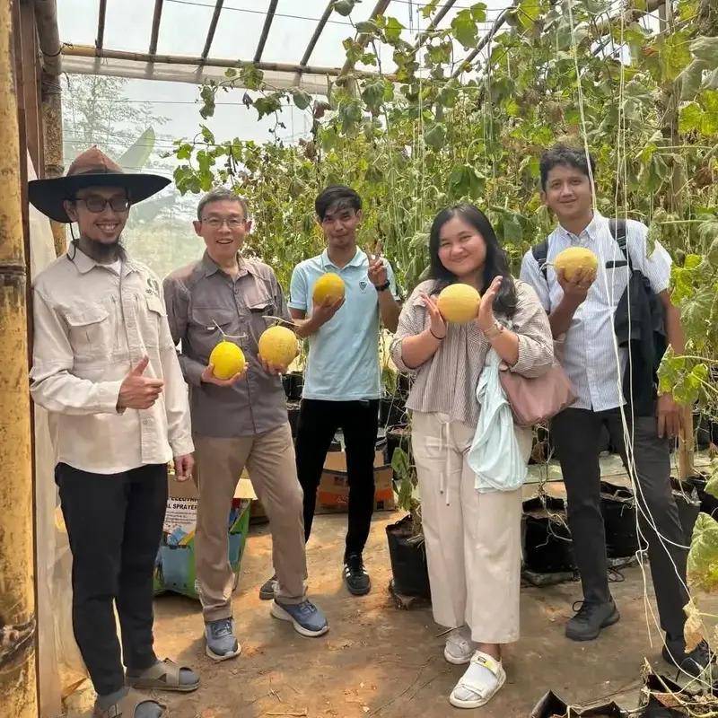 kebun melon Agroobot. (instagram.com/agroobot)
