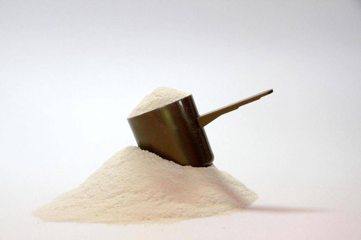 ilustrasi whey protein