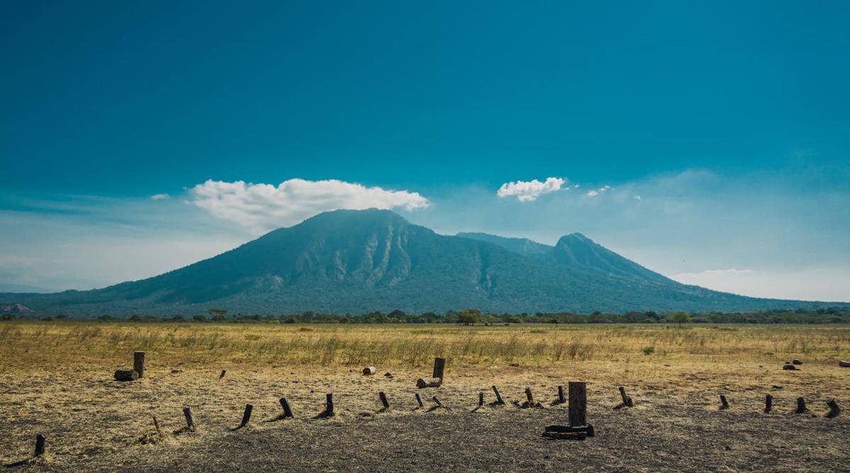 Sabana di Baluran National Park 