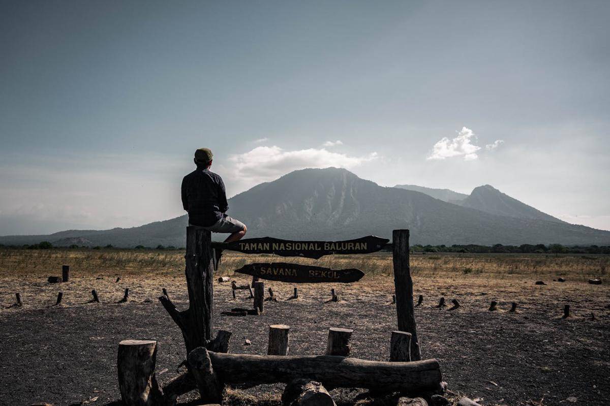 Taman Nasional Baluran, Banyuwangi