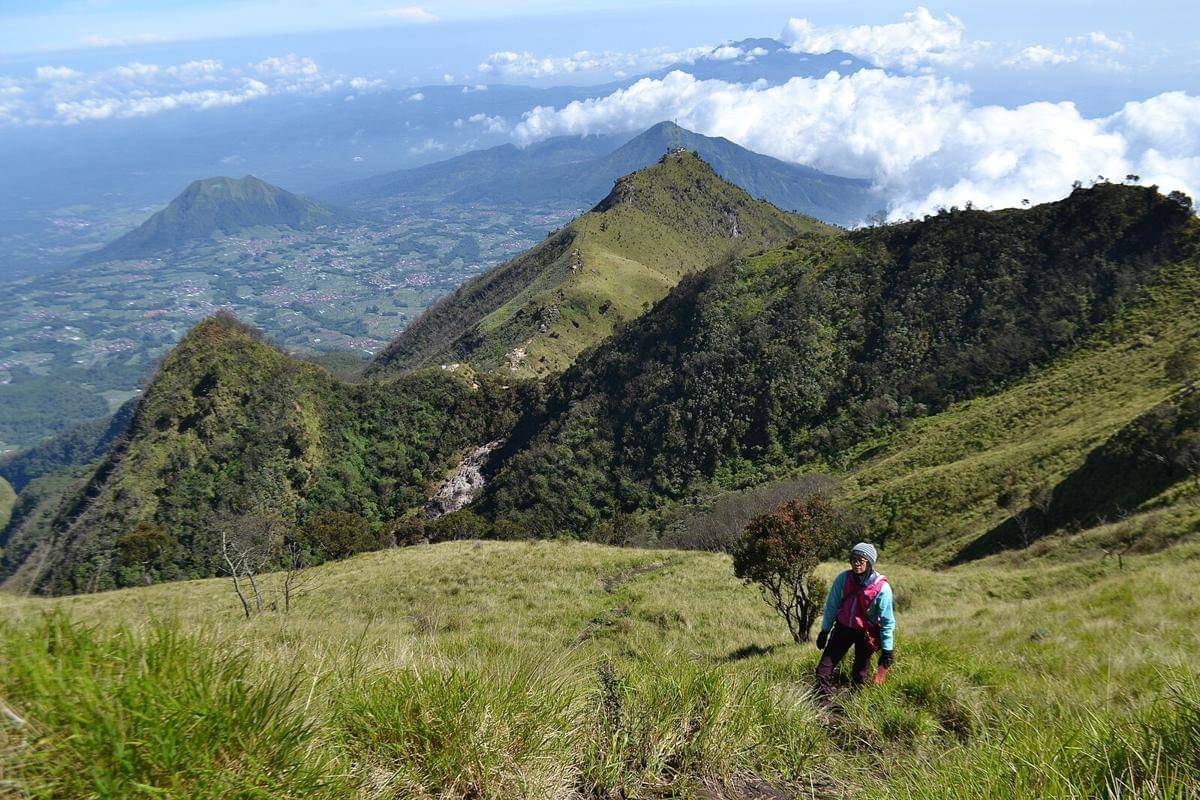 potret sabana Gunung Merbabu