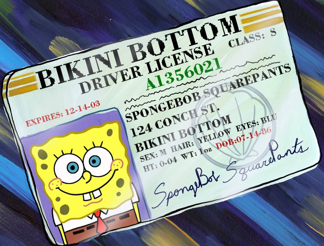 cuplikan SIM mengemudi SpongeBob (dok. Nickelodeon/ SpongeBob SquarePants)
