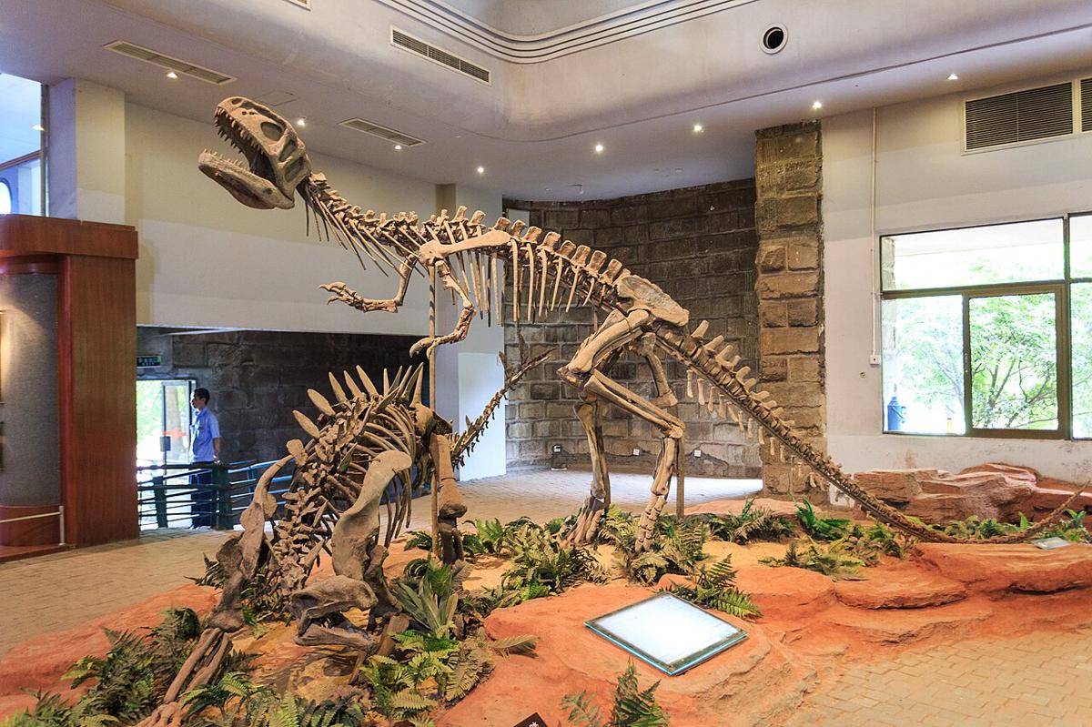 rekonstruksi kerangka dinosaurus (commons.wikimedia.org/Zhangzhugang)