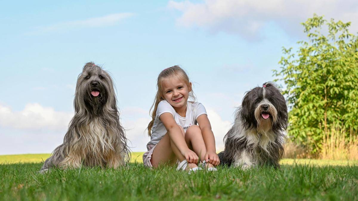 ilustrasi anjing dan anak kecil