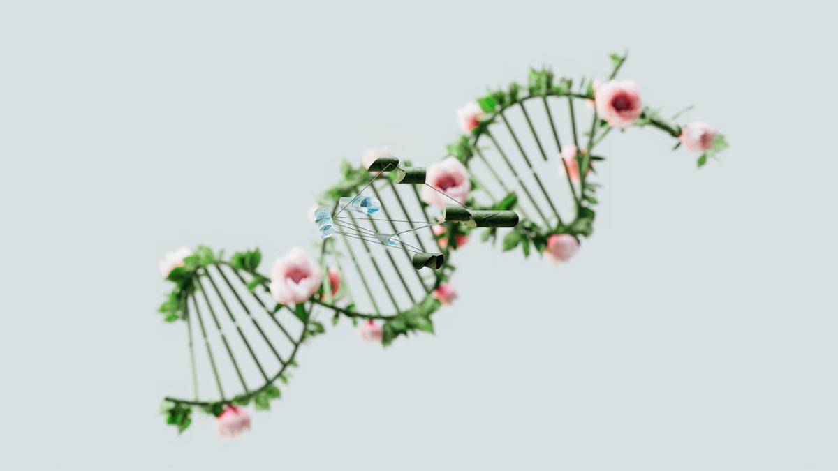 ilustrasi mutasi genetik (pexels.com/Google Deepmind)