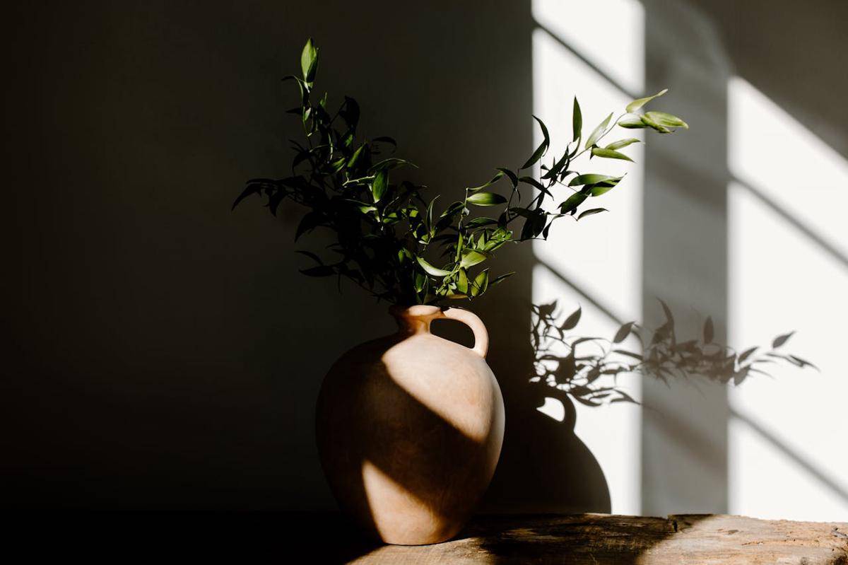 ilustrasi tanaman indoor (pexels.com/Tara Winstead)