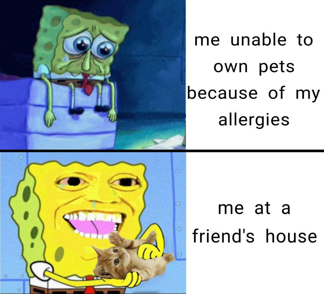 meme SpongeBob tentang rumah sakit (reddit.com/r/BikiniBottomTwitter)