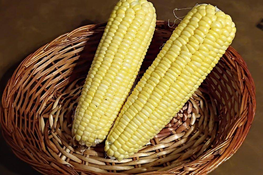 ilustrasi jagung manis (pexels.com/annapurna varada)