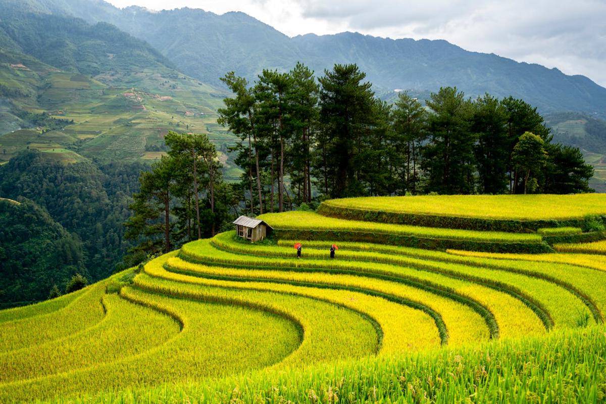 Sa Pa, Vietnam