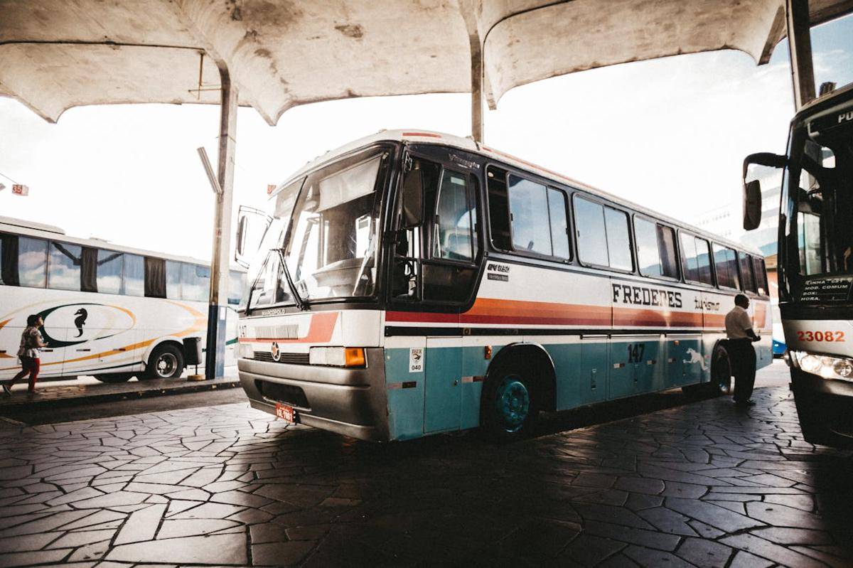 ilustrasi bus (pexels.com/Jonathan Borba)