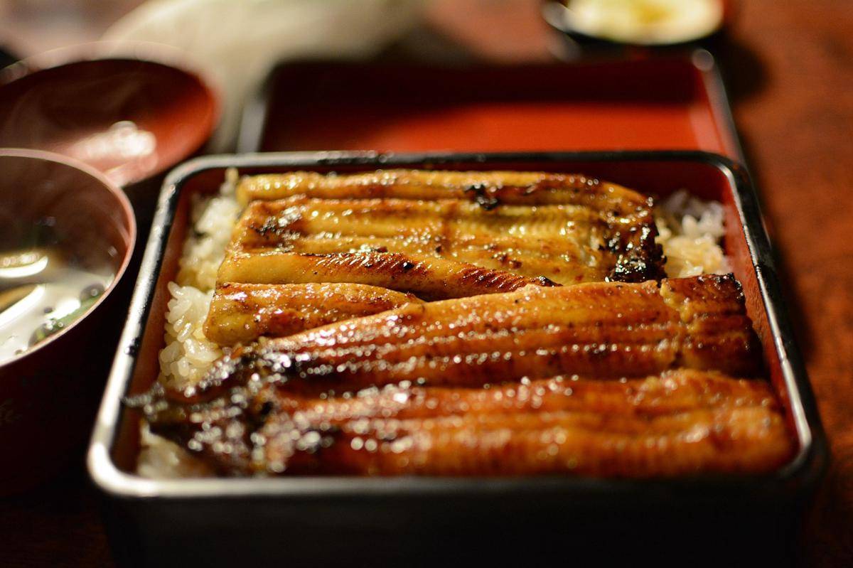 ilustrasi unagi kabayaki