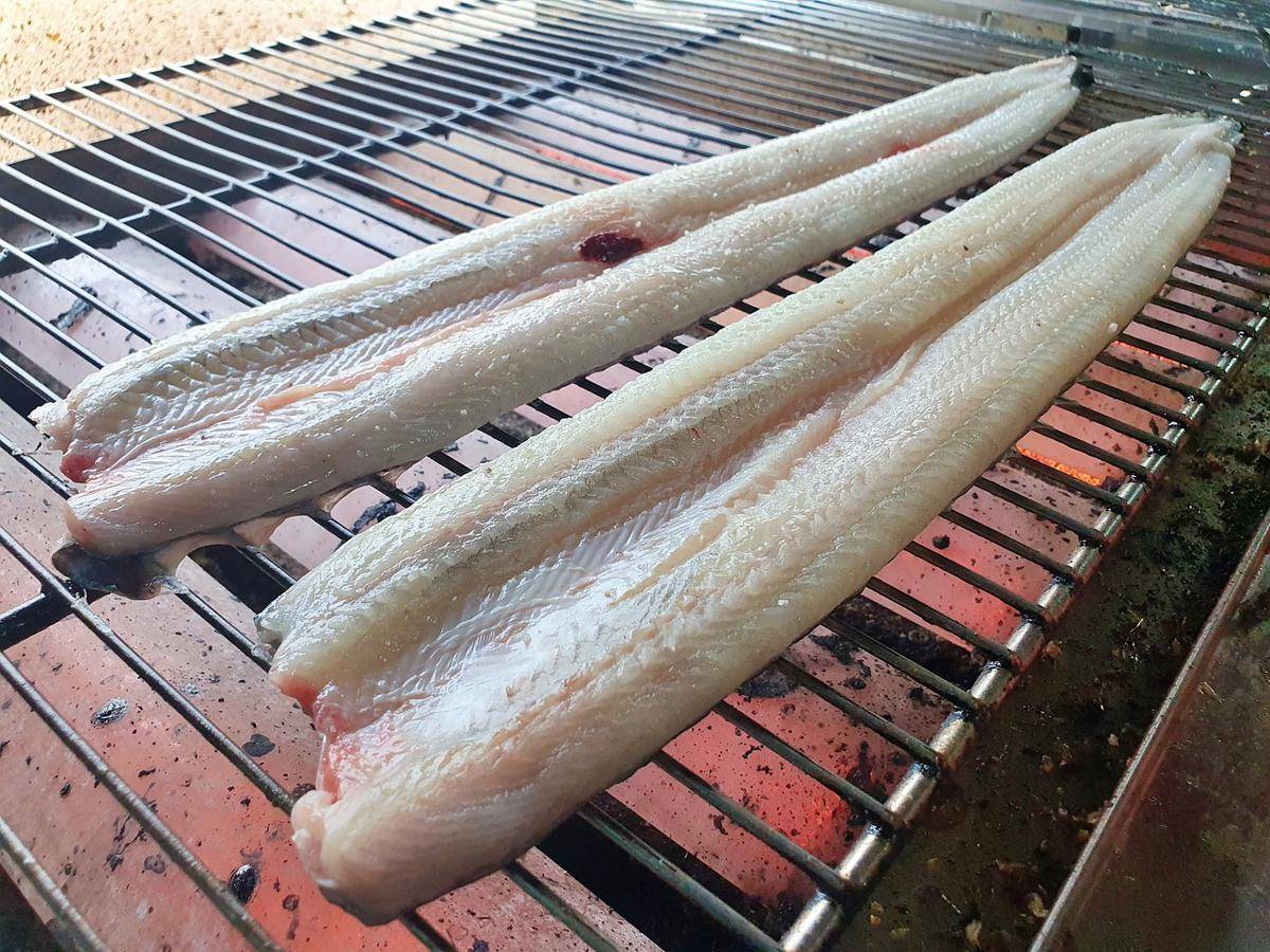 ilustrasi unagi filet