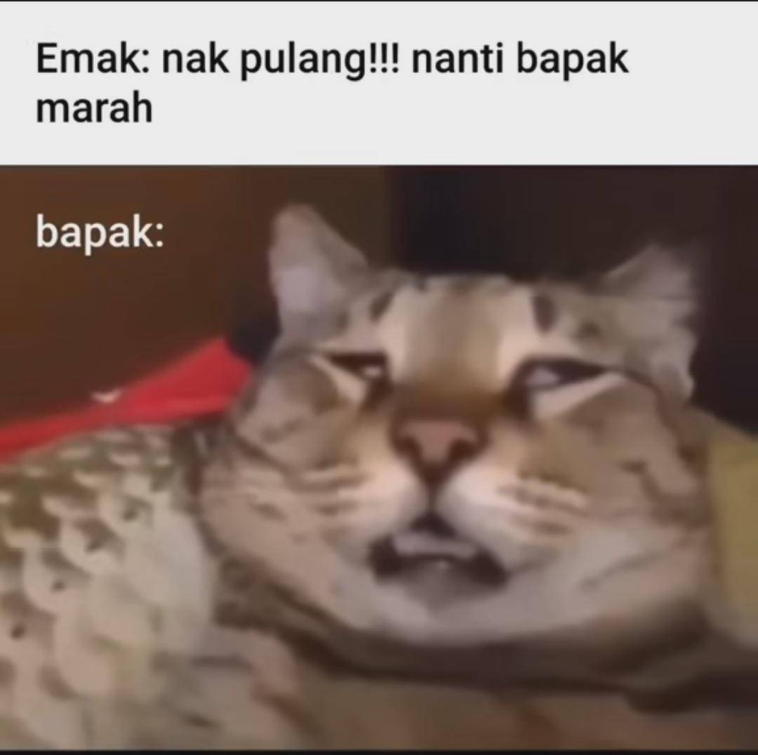 Meme bapak-bapak