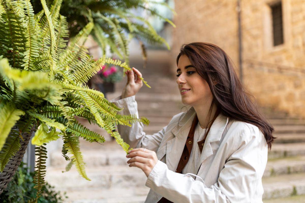 Ilustrasi boston fern (freepik.com/freepik)