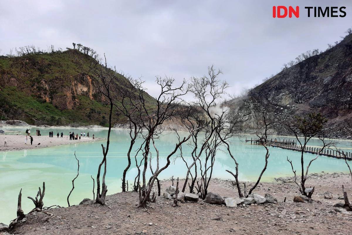 Potret hutan mati Kawah Putih