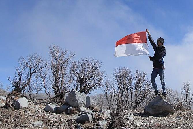 hutan mati Gunung Sindoro