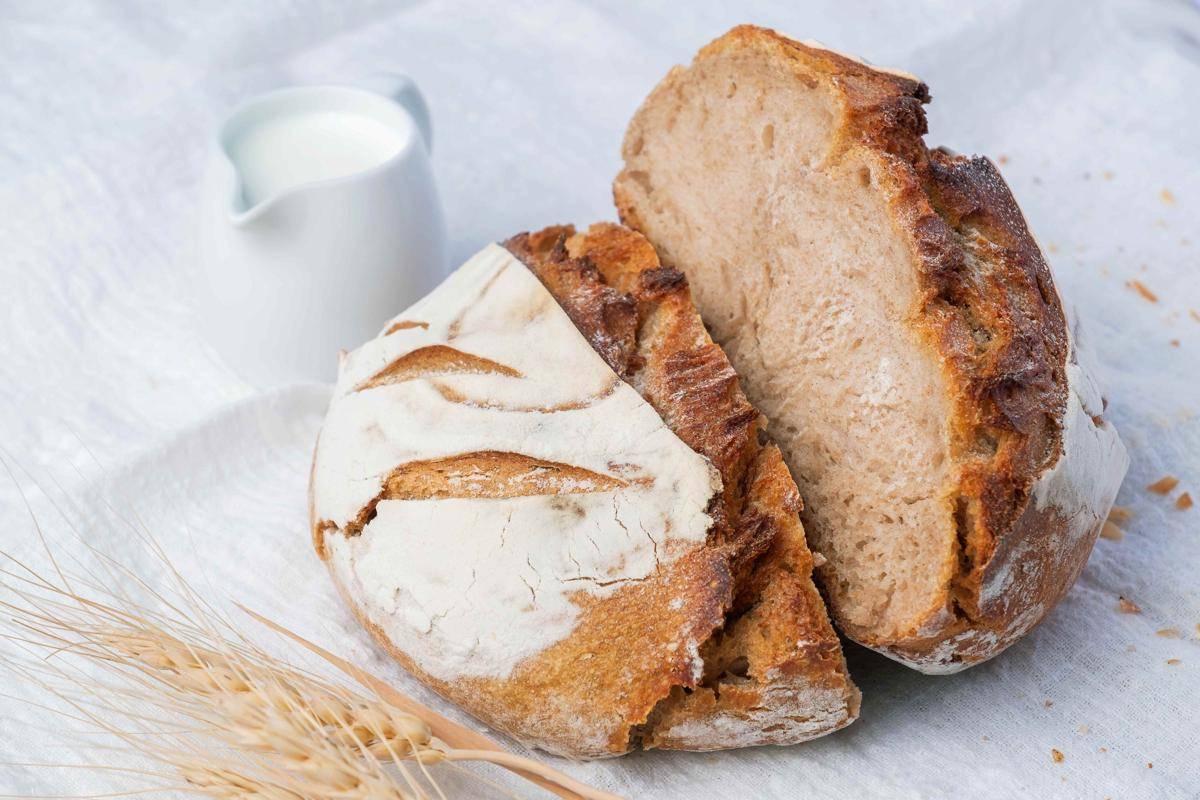 ilustrasi sourdough bread