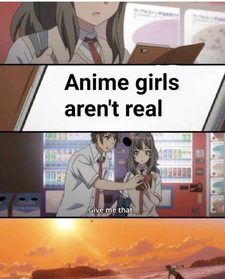 meme anime cewek 2D