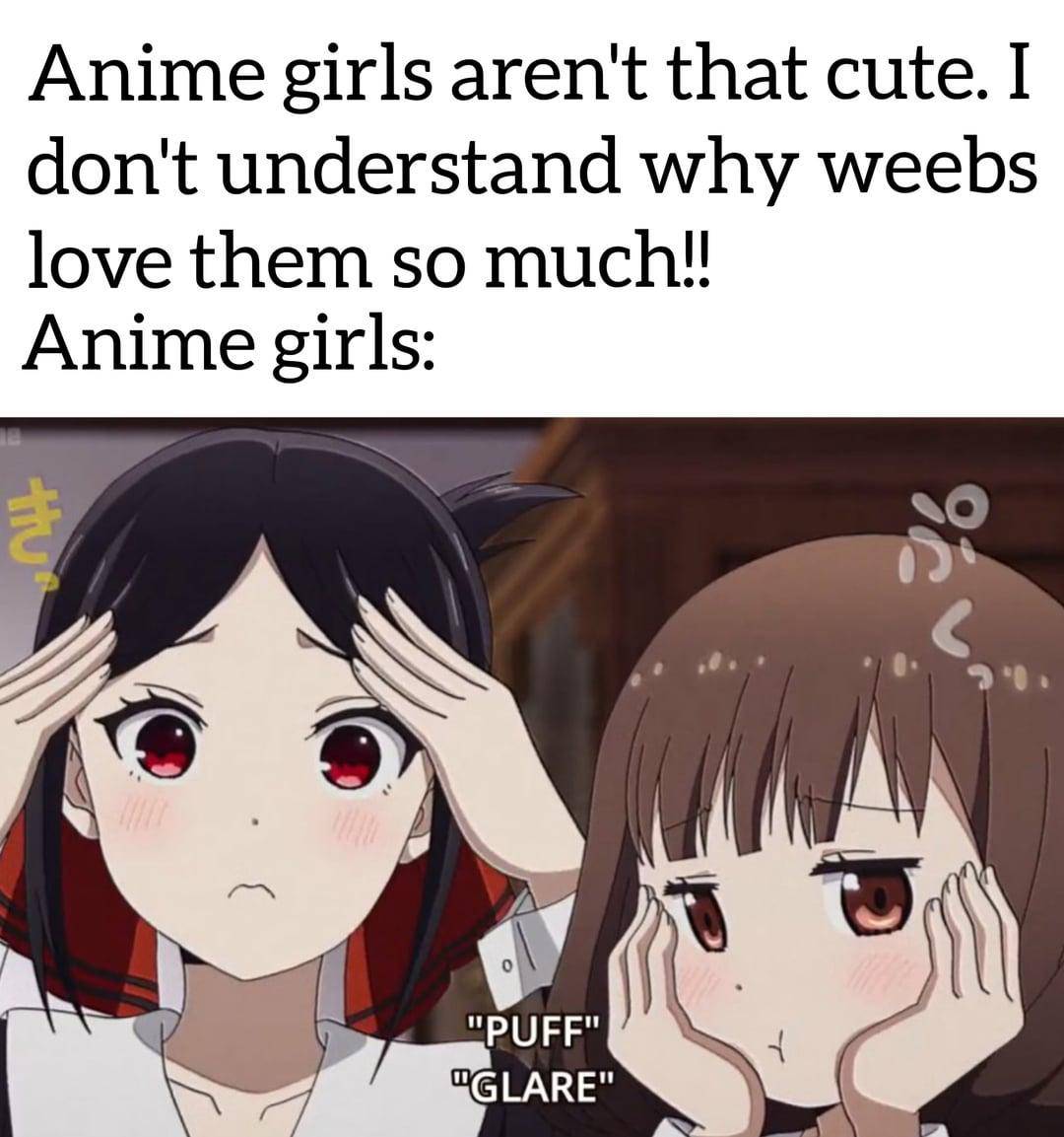 meme anime cewek 2D