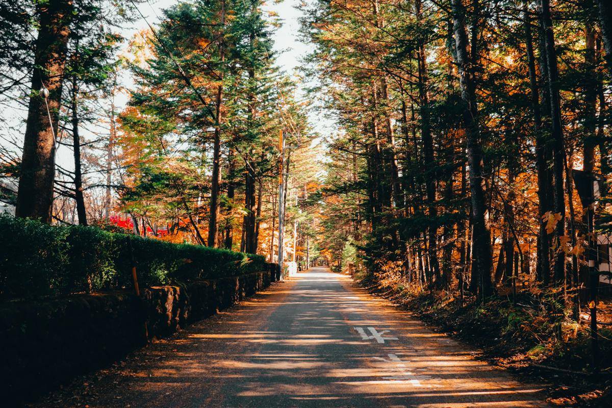 Karuizawa (unsplash.com/Kishor)