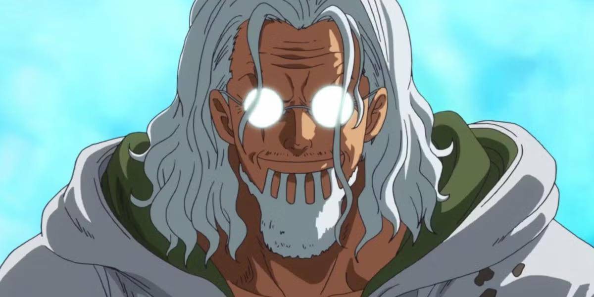 Silvers Rayleigh dalam anime One Piece