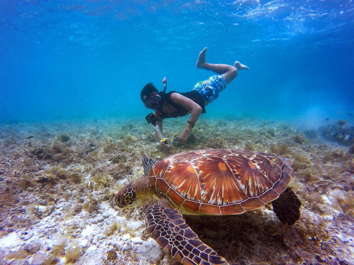 ilustrasi snorkeling (pexels.com/John Cahil Rom)