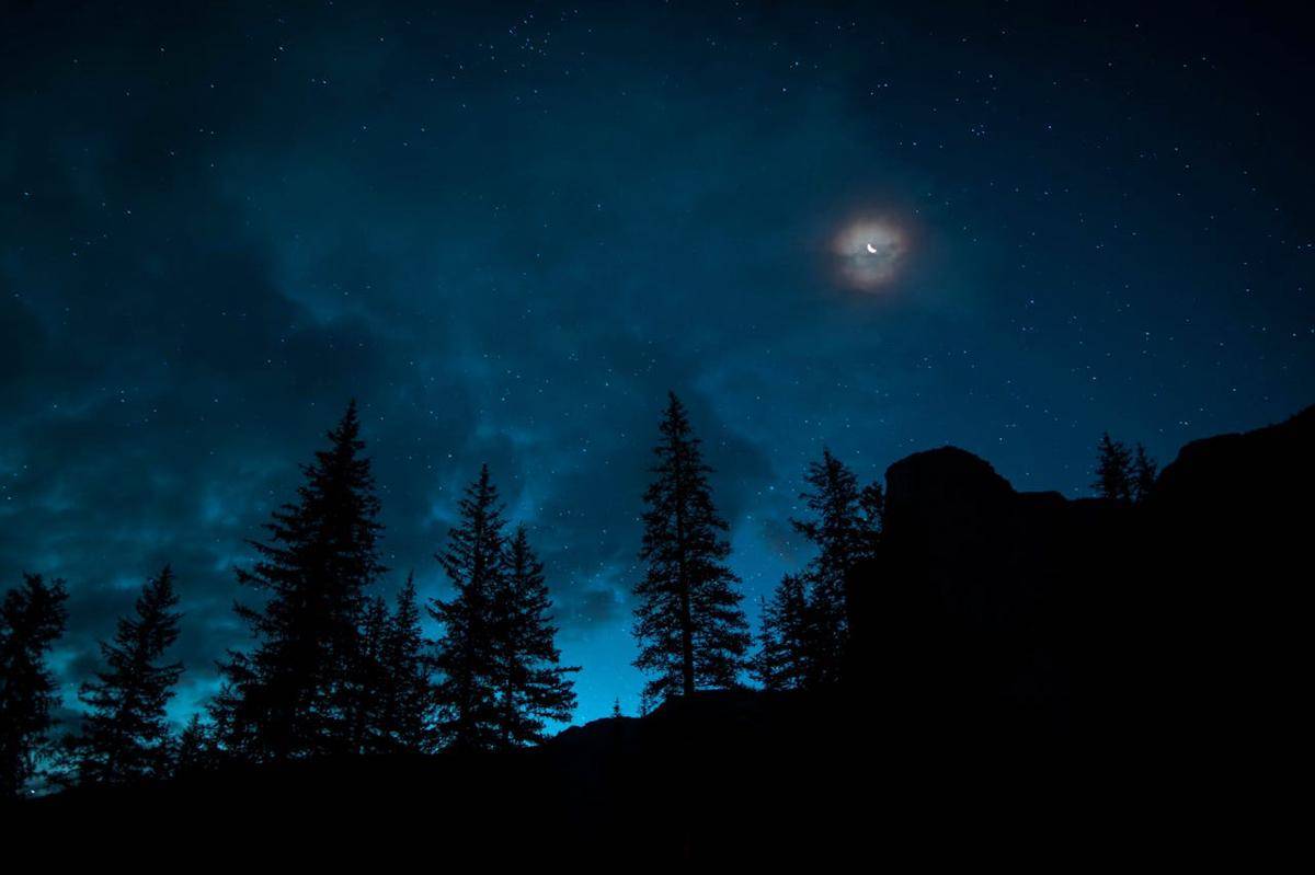 ilustrasi langit malam (pexels.com/Roberto Nickson)