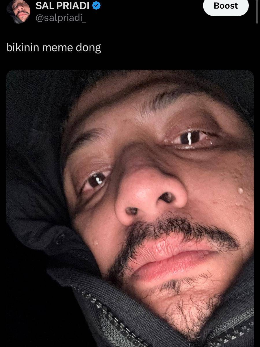 meme Sal Priadi