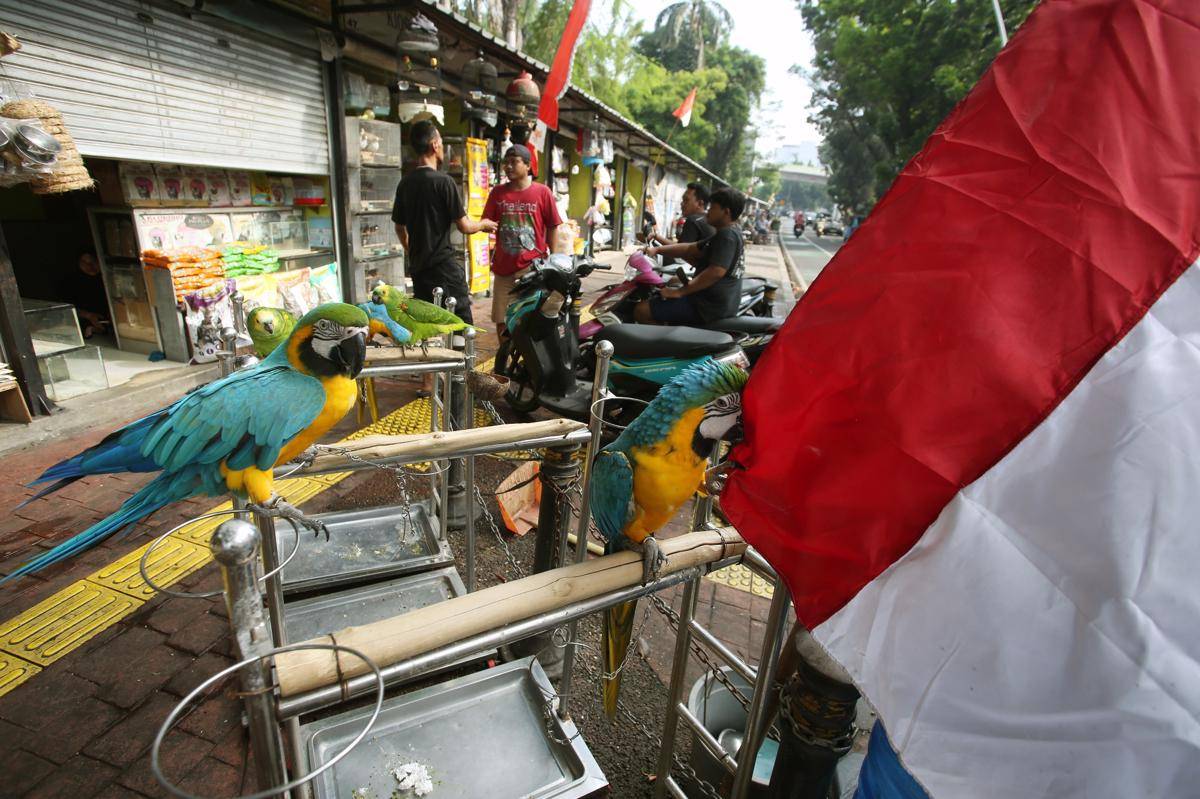 antarafoto-batas-waktu-pengosongan-lapak-pedagang-di-pasar-barito-1754314253.jpg