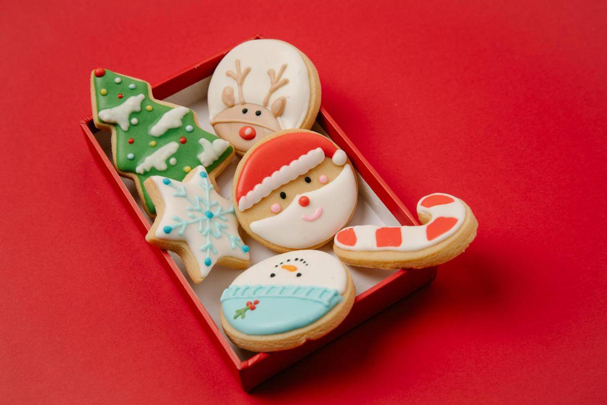 ilustrasi kue kering (pexels.com/Laura James)