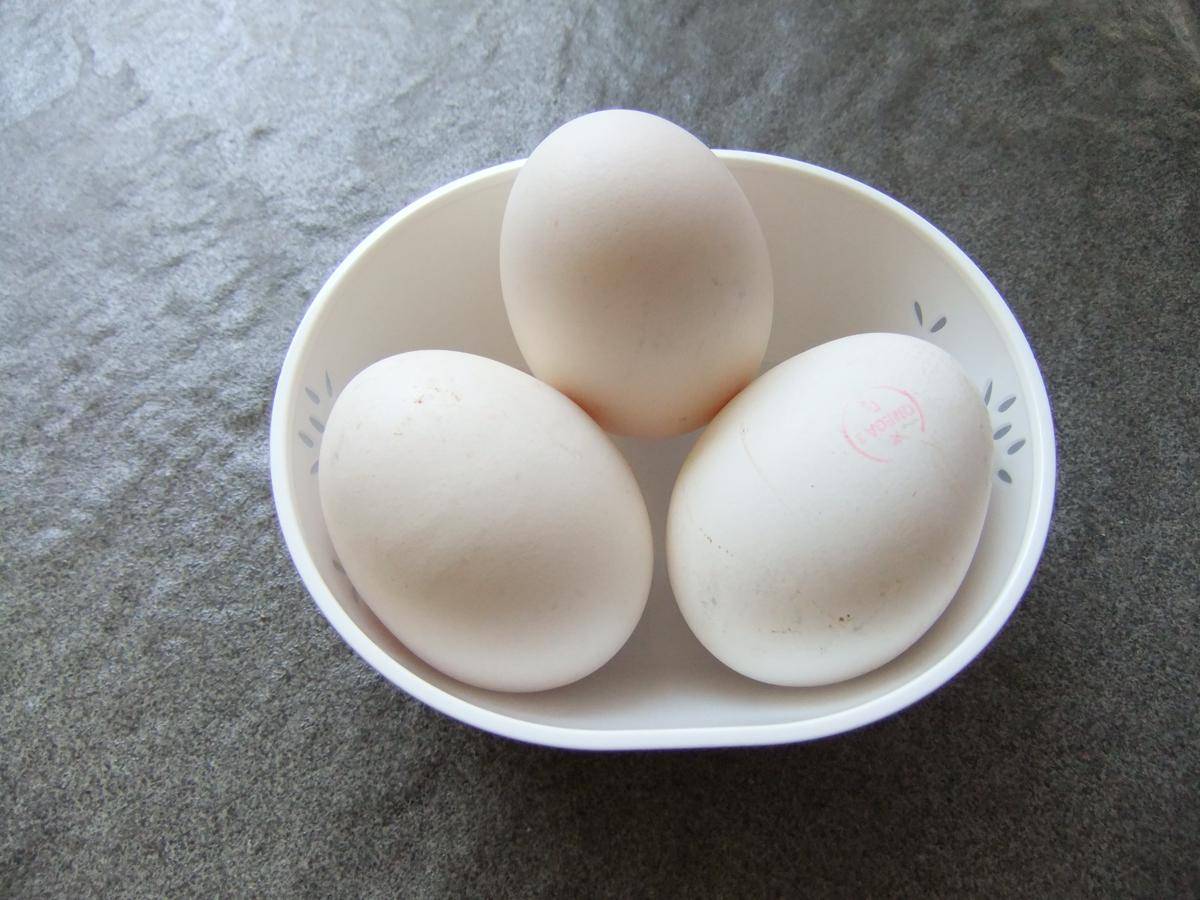 ilustrasi telur ayam kampung (commons.wikimedia.org/Sakurai Midori)