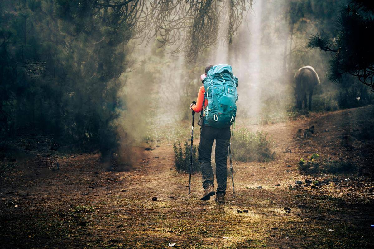 ilustrasi Trekking Pole/pexels.com