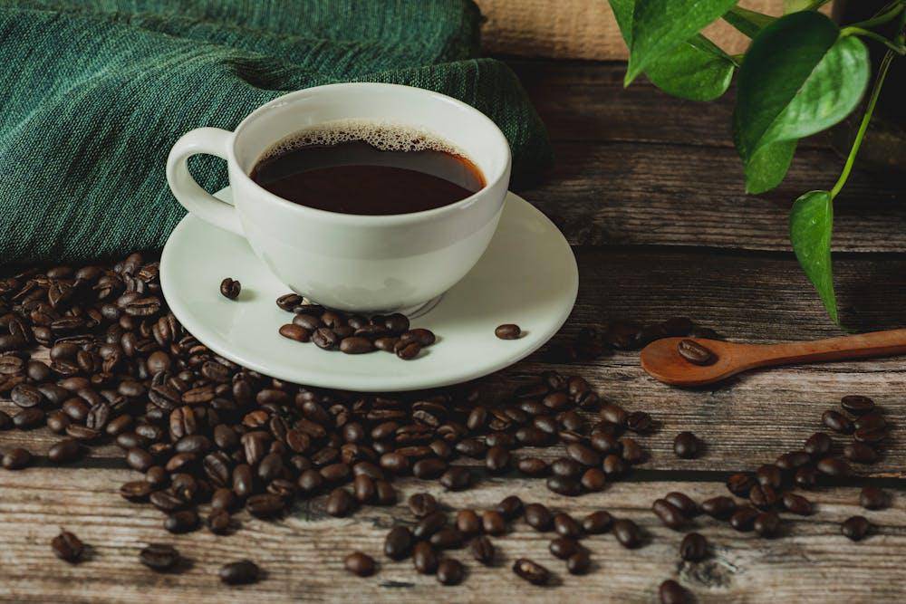 ilustrasi kopi single origin (pexels.com/ธันยกร ไกรสร)