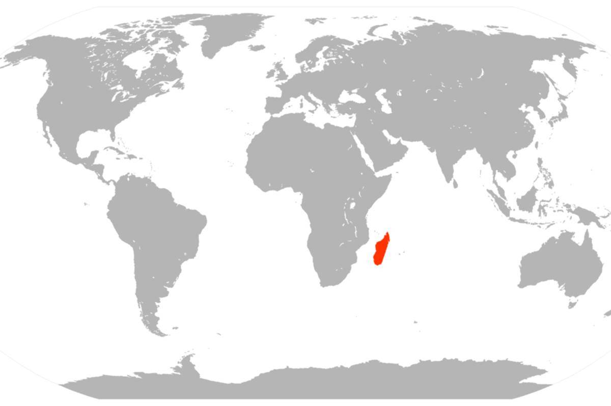 Pulau Madagaskar, ditandai dengan warna merah