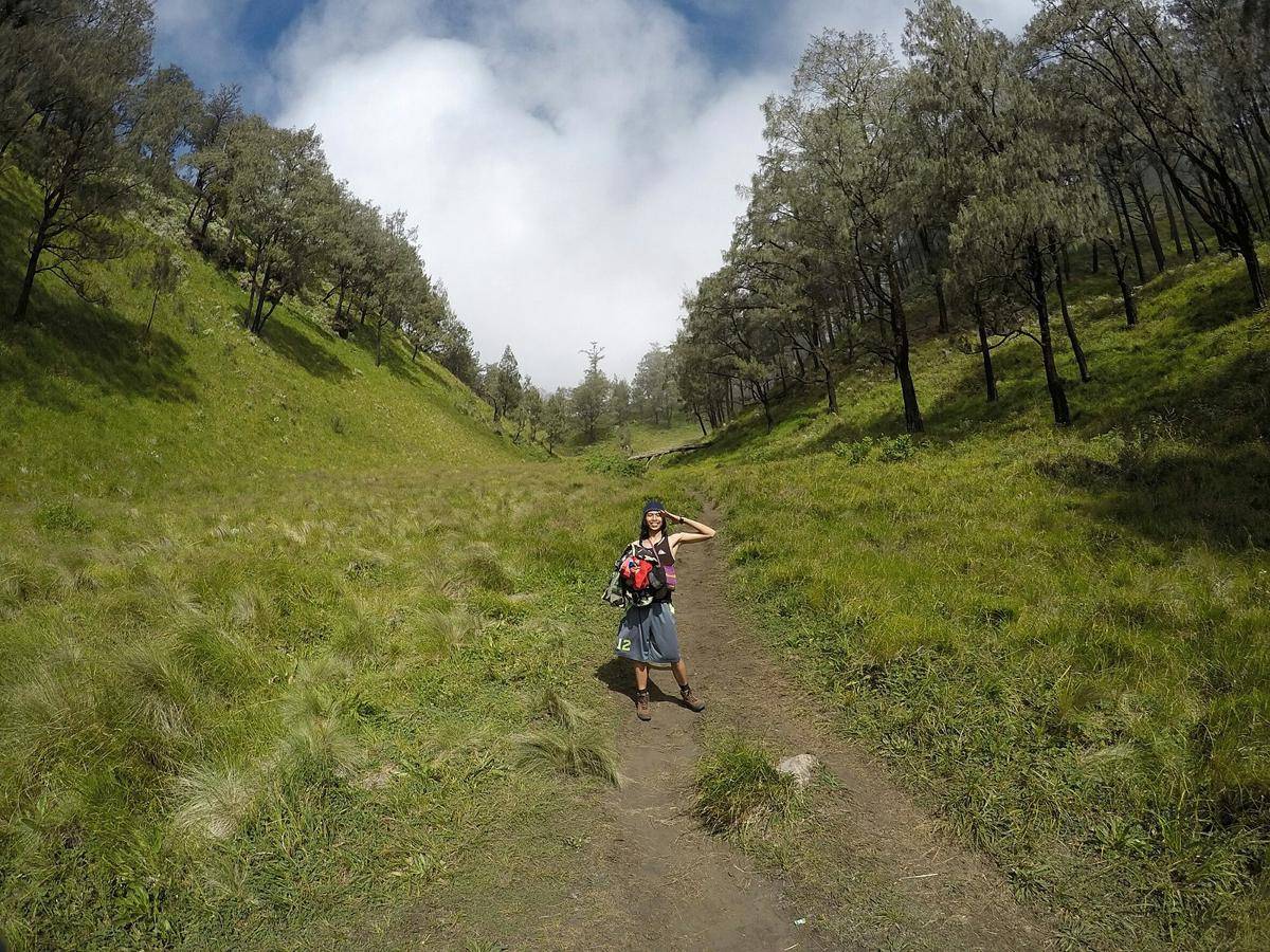 ilustrasi Gunung Lawu 
