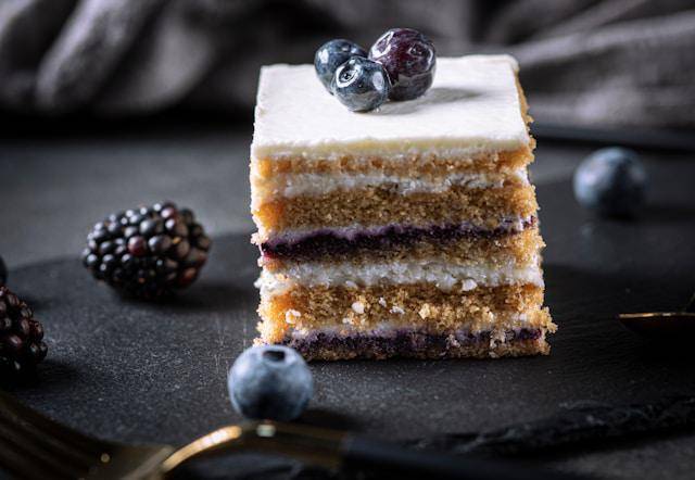ilustrasi tiramisu blueberry (unsplash.com/BINYOUSSIF)