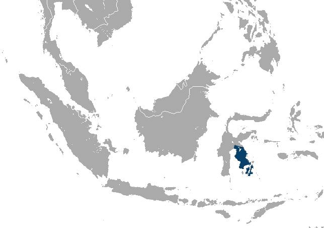 ilustrasi peta persebaran monyet digo (commons.wikimedia.org/Chermundy)