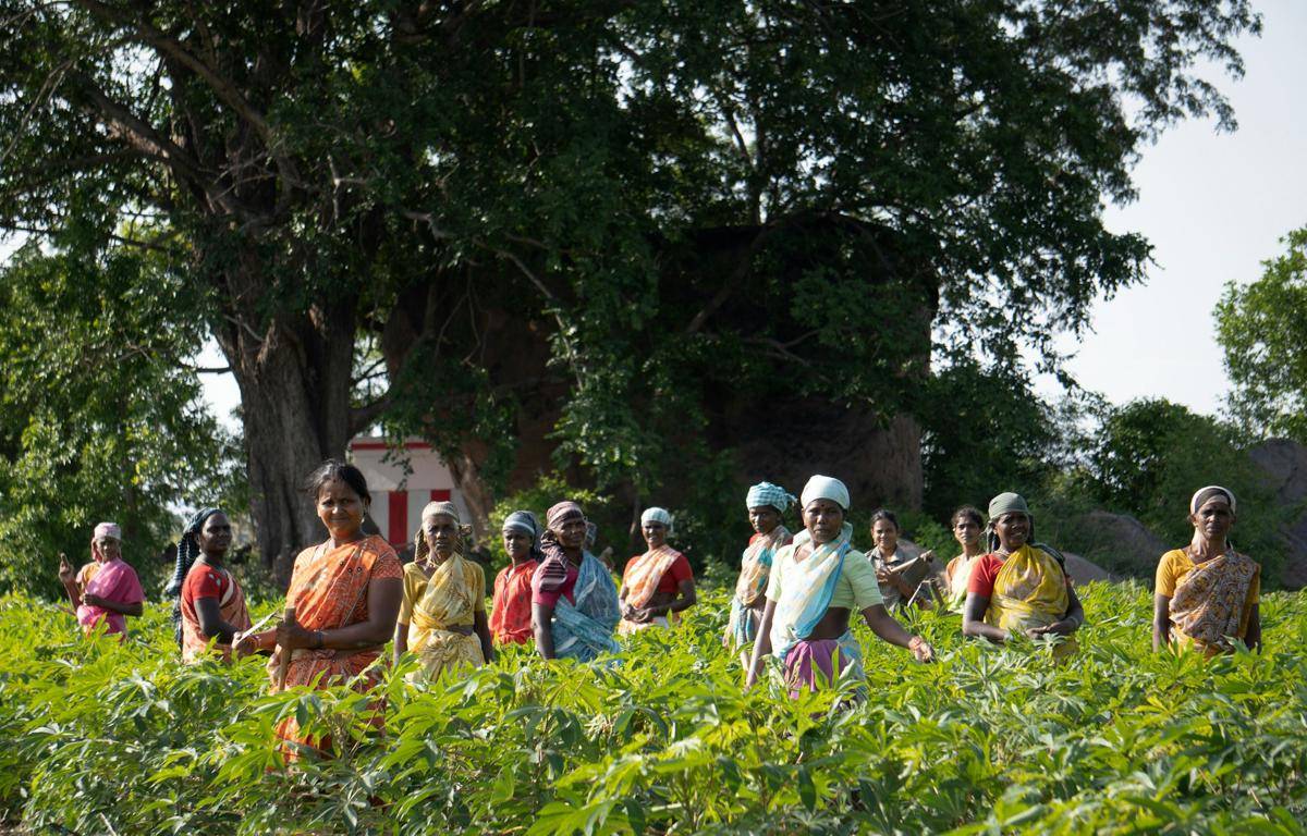 Perempuan di tengah tanaman hijau (unsplash.com/Deepak Kumar)
