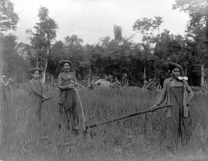 Wanita karo  1914-1919 (facebook.com/Simbisa karo)