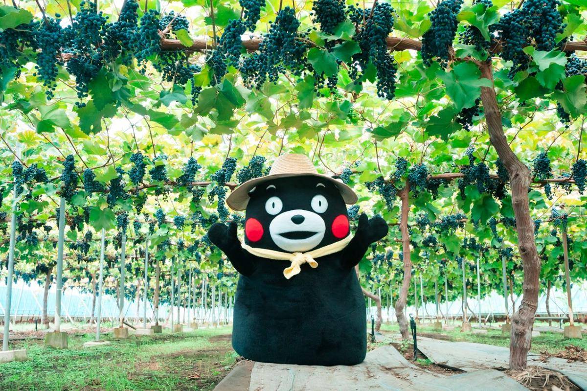 Kumamon maskot Prefektur Kumamoto (kumamon-land.jp)