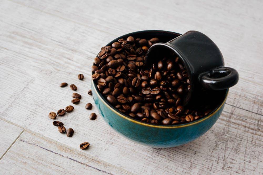 ilustrasi biji kopi house blend 