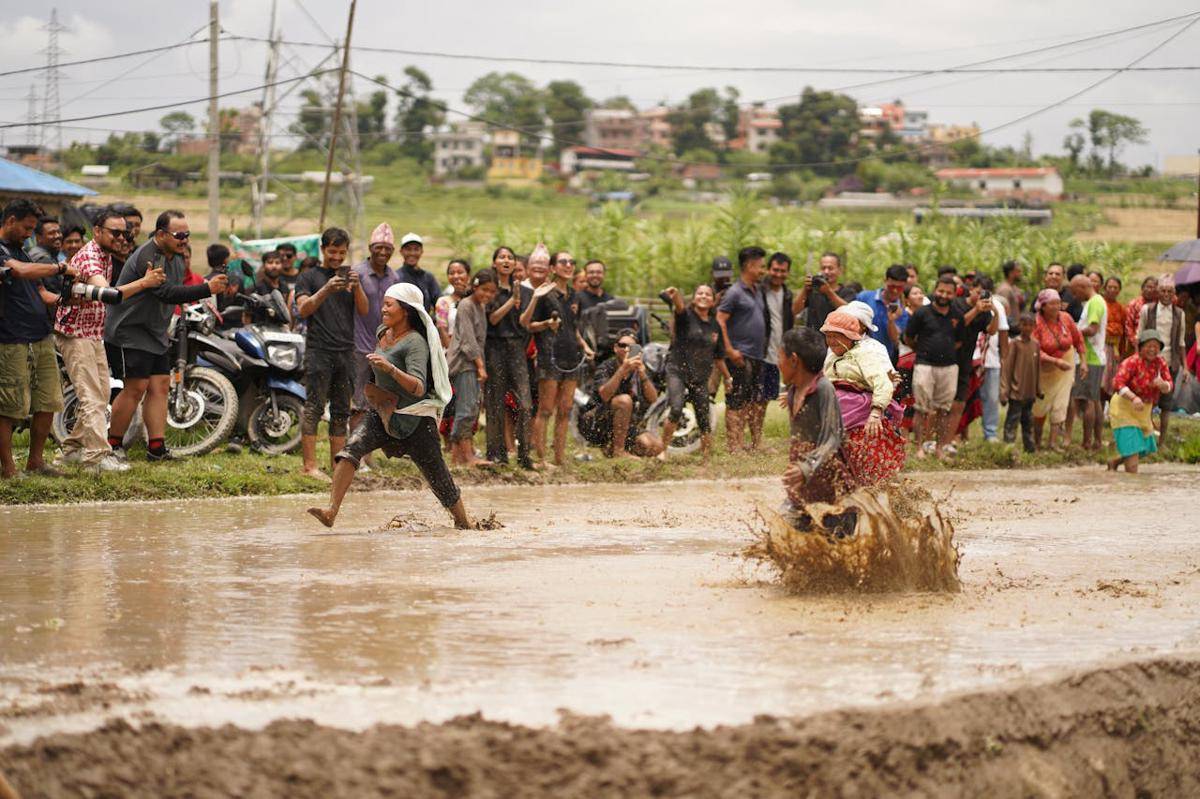 ilustrasi balap lari di sawah 