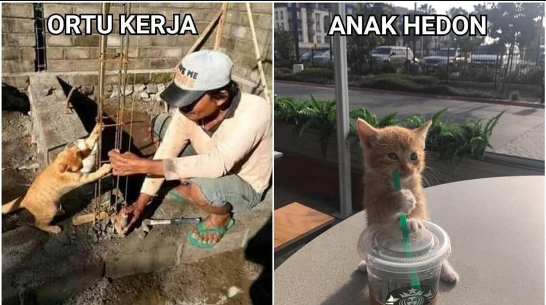 Meme gaya hidup hedon