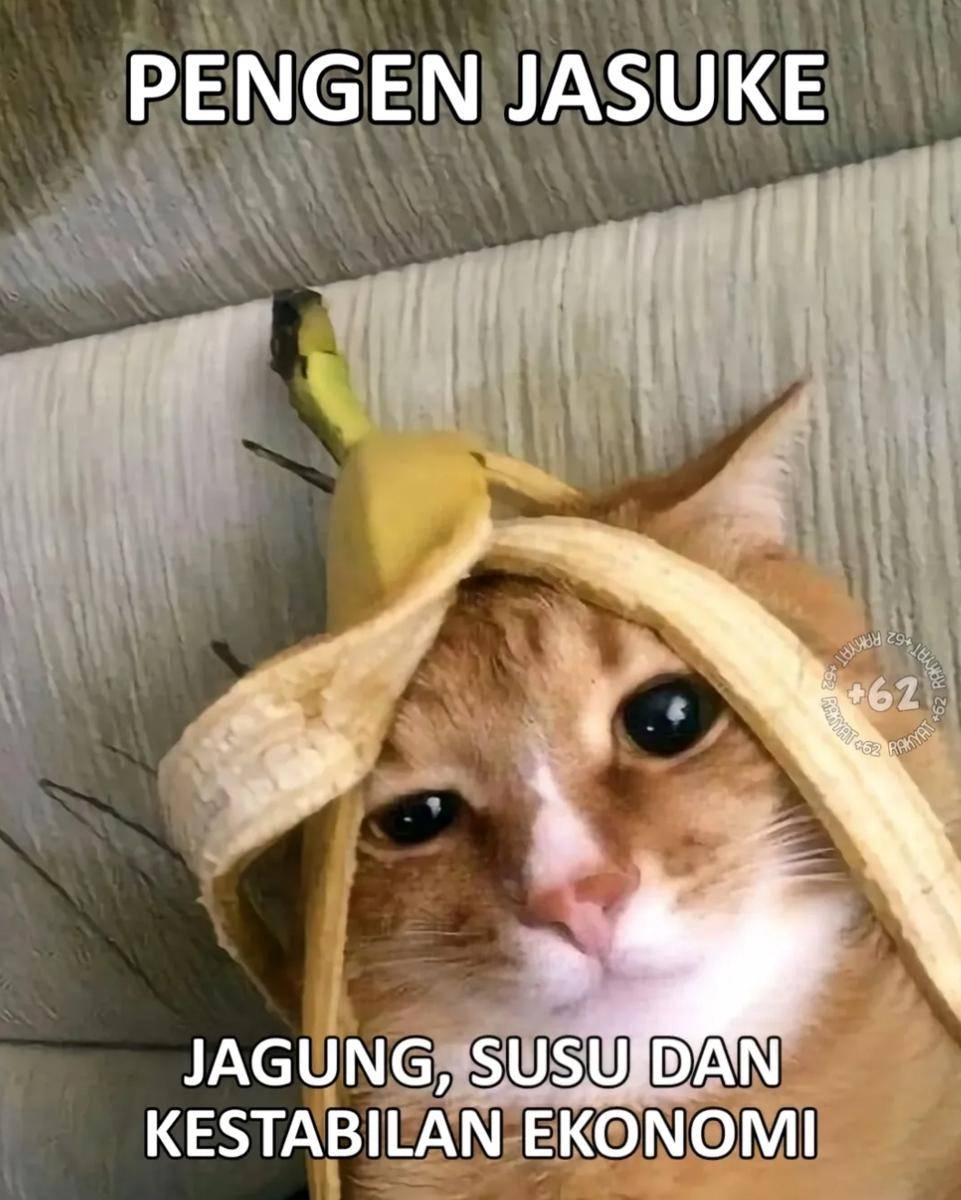 Meme keinginan absurd
