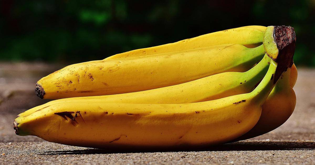 ilustrasi pisang 