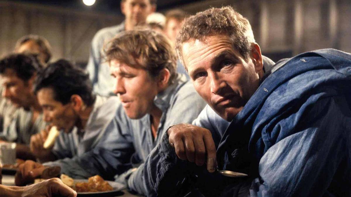 Cool Hand Luke (dok. Warner Bros/Cool Hand Luke)