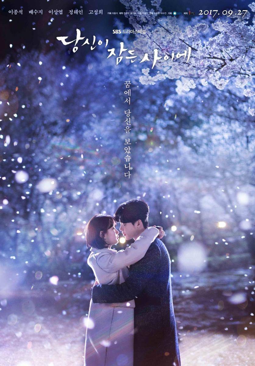poster drama While You Were Sleeping