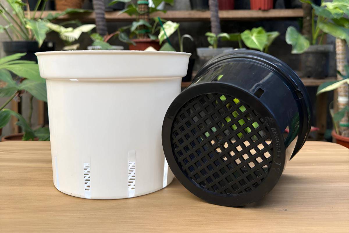 Ilustrasi pot dengan drainase (shopee.co.id/Workplant Official Store)