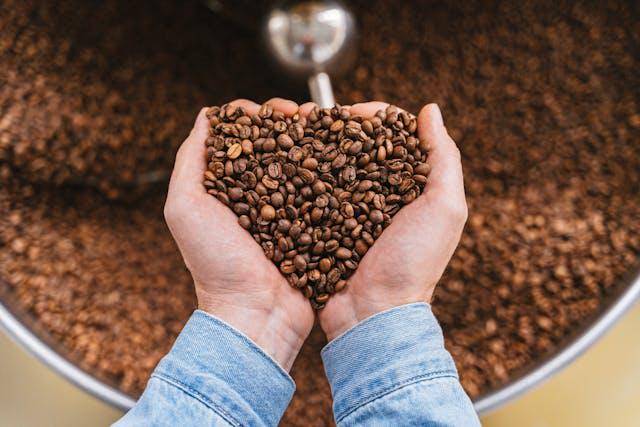 ilustrasi biji kopi (pexels.com/Antoni Shkraba Studio)